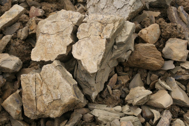Cantina Il Carpino